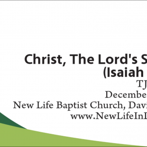 Christ, The Lord’s Servant (Isaiah 42:1-9)