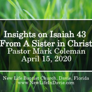 Insights on Isaiah 43 From A Sister in Christ