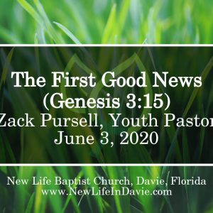 The First Good News (Genesis 3:15)