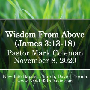 Wisdom From Above (James 3:13-18)
