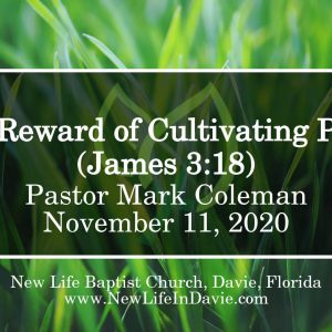 The Reward of Cultivating Peace (James 3:18)