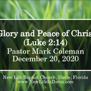 The Glory and Peace of Christmas (Luke 2:14)