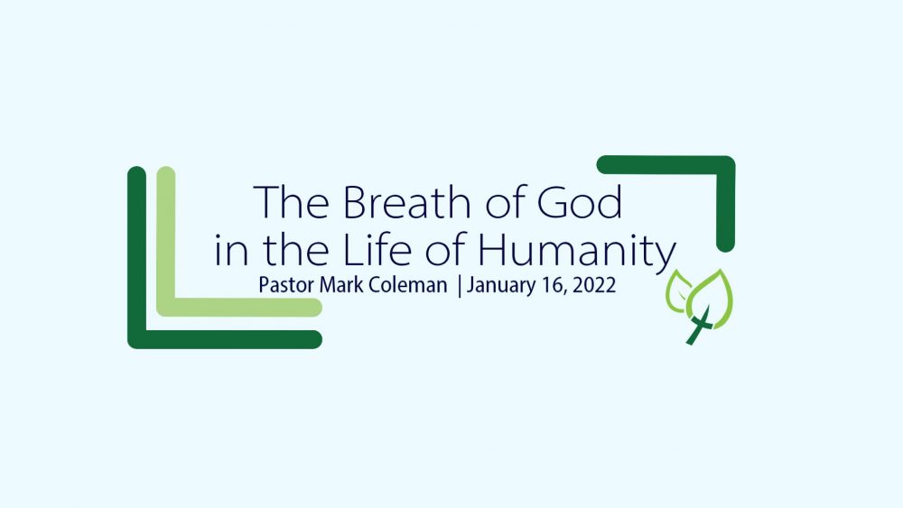 The Breath of God in the Life of Humanity