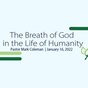 The Breath of God in the Life of Humanity