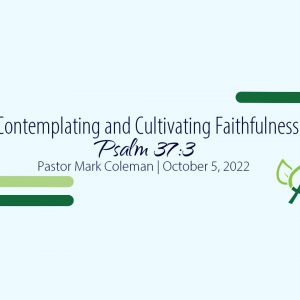 Contemplating and Cultivating Faithfulness (Psalm 37:3)