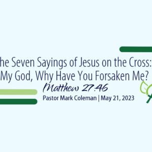 The Seven Sayings of Jesus on the Cross: My God, Why Have You Forsaken Me? (Matthew 27:46)